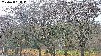 takano3-20250428050042.jpg