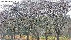takano3-20250428051043.jpg