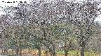 takano3-20250428053043.jpg