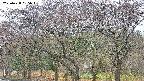 takano3-20250428055043.jpg