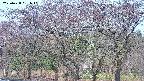 takano3-20250428061042.jpg