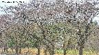takano3-20250428072044.jpg