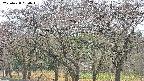 takano3-20250428080044.jpg