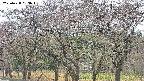 takano3-20250428083043.jpg