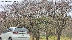 takano3-20250428093043.jpg