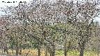 takano3-20250428094042.jpg