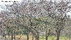 takano3-20250428104044.jpg