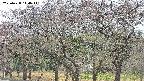 takano3-20250428114042.jpg