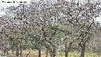 takano3-20250428125043.jpg