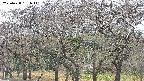 takano3-20250428131045.jpg