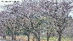 takano3-20250428170045.jpg