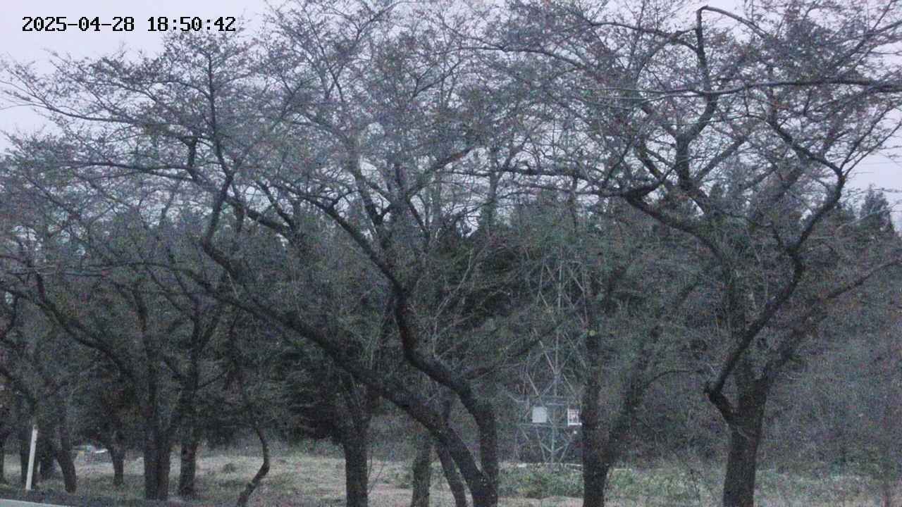 takano3-20250428185043.jpg