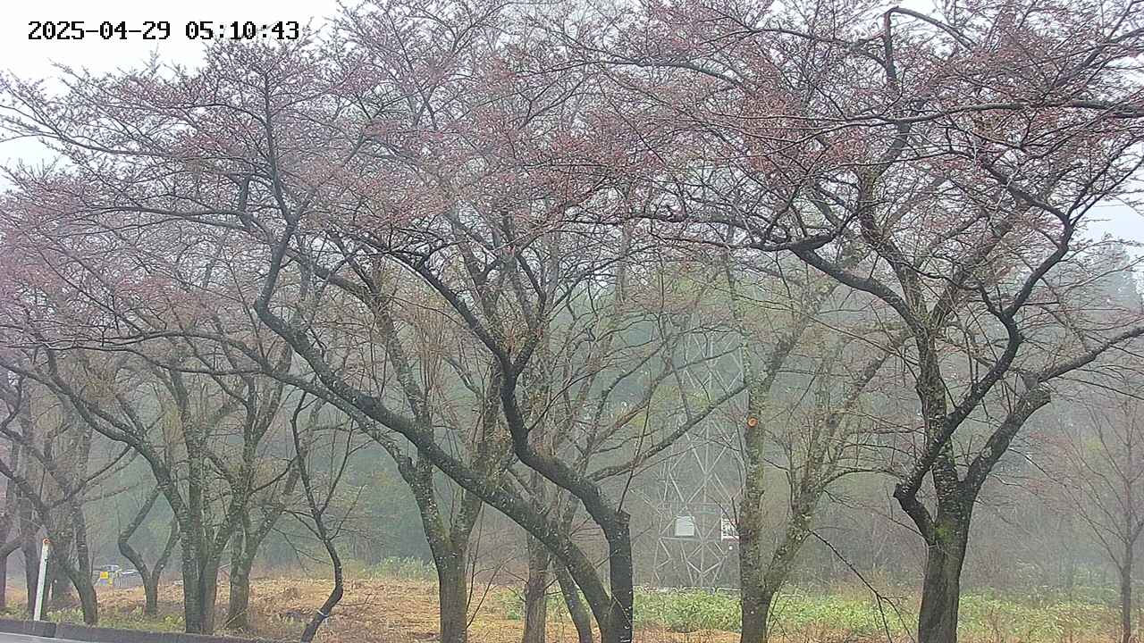 takano3-20250429051044.jpg