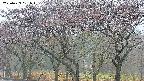 takano3-20250429051044.jpg