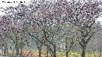 takano3-20250429053043.jpg