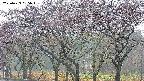 takano3-20250429055044.jpg