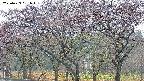 takano3-20250429061043.jpg