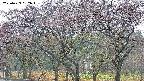 takano3-20250429062044.jpg