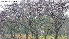takano3-20250429063045.jpg
