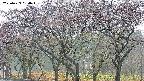 takano3-20250429064044.jpg