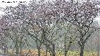 takano3-20250429065041.jpg