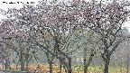 takano3-20250429071045.jpg