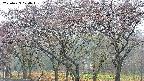 takano3-20250429074043.jpg