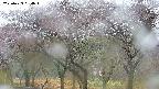 takano3-20250429084043.jpg