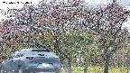 takano3-20250429100044.jpg
