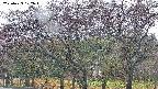 takano3-20250429102043.jpg