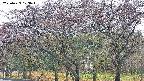 takano3-20250429103044.jpg