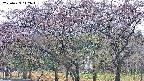 takano3-20250429112044.jpg