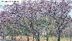 takano3-20250429113043.jpg