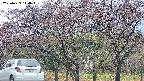 takano3-20250429114043.jpg