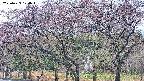 takano3-20250429120043.jpg