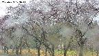 takano3-20250429123043.jpg