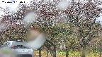 takano3-20250429130044.jpg