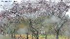 takano3-20250429133044.jpg