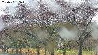 takano3-20250429135043.jpg