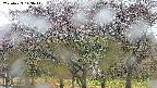 takano3-20250429143043.jpg