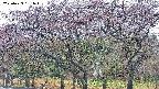 takano3-20250429161044.jpg