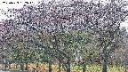 takano3-20250429162042.jpg