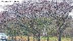 takano3-20250429163046.jpg