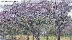 takano3-20250429170044.jpg