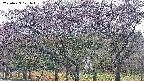 takano3-20250429171044.jpg