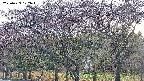 takano3-20250429172044.jpg