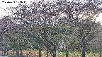 takano3-20250429173042.jpg