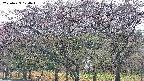 takano3-20250429174044.jpg