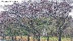 takano3-20250429175045.jpg