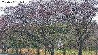 takano3-20250429181044.jpg